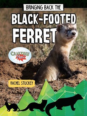 cover image of Bringing Back the Black-Footed Ferret